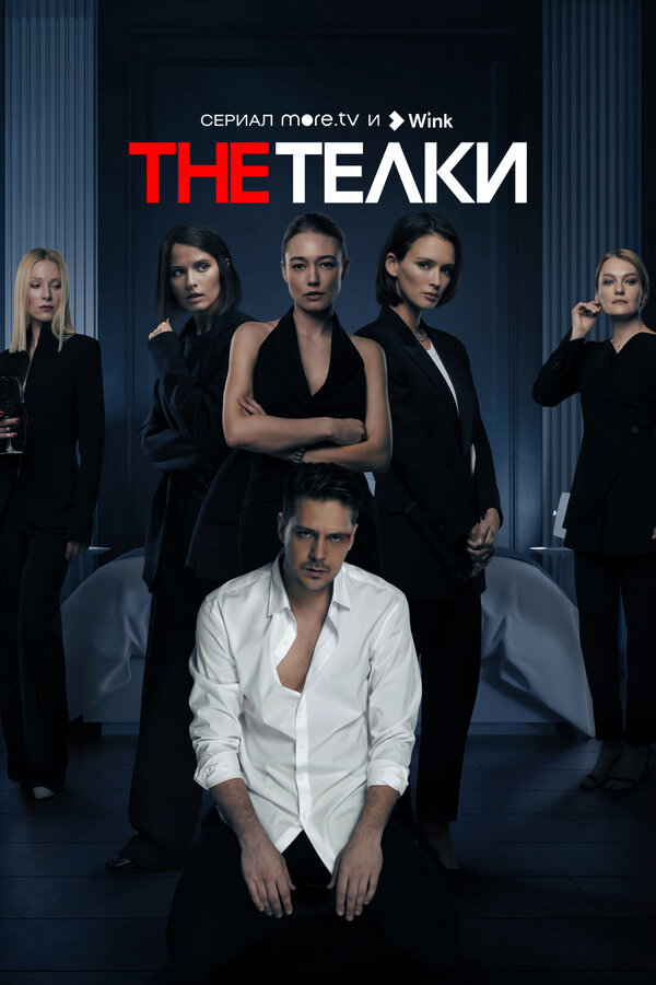 The Телки - постер сериала